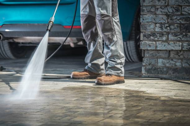 Professional Pressure Washing Services in Palm River Clair Mel, FL